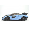 McLaren Senna
