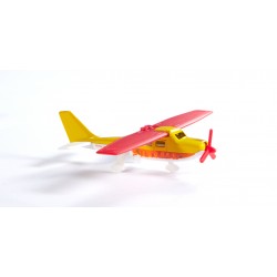 Buggy with sporting airplane