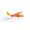Buggy with sporting airplane