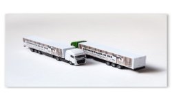 Volvo FH16 camion “Südwestfalen ist der Hammer”